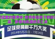彩票店里的世界杯-世界杯狂热下的彩票小店，梦想与机遇的交汇点