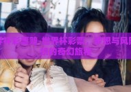 世界杯彩票赔-世界杯彩票，梦想与风险交织的奇幻旅程