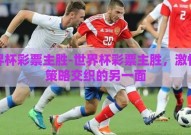 世界杯彩票主胜-世界杯彩票主胜，激情与策略交织的另一面