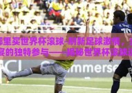 在哪里买世界杯滚球-刷新足球激情，全球盛宴的独特参与——揭秘世界杯滚球选购攻略
