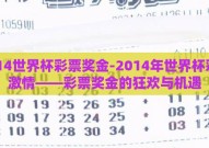 2014世界杯彩票奖金-2014年世界杯彩票激情——彩票奖金的狂欢与机遇