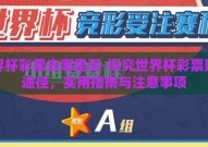 世界杯彩票去哪里买-探究世界杯彩票购买途径，实用指南与注意事项