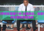 买世界杯彩票哪个好-合理购彩，探索世界杯彩票的智慧选择