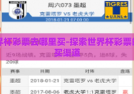 世界杯彩票去哪里买-探索世界杯彩票的购买渠道