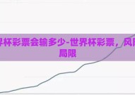 世界杯彩票会输多少-世界杯彩票，风险与局限