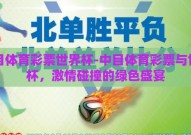 中目体育彩票世界杯-中目体育彩票与世界杯，激情碰撞的绿色盛宴