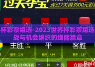 世界杯彩票组选-2023世界杯彩票组选，挑战与机会编织的绚丽篇章