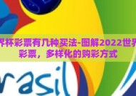 世界杯彩票有几种买法-图解2022世界杯彩票，多样化的购彩方式