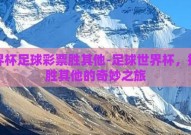 世界杯足球彩票胜其他-足球世界杯，投注胜其他的奇妙之旅