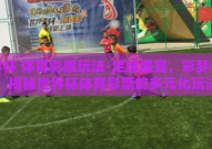 世界杯 体育彩票玩法-足球盛宴，彩梦启航，揭秘世界杯体育彩票的多元化玩法