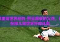 在那里赌世界杯的-照亮黑夜的火花，解开在那儿赌世界杯的迷思