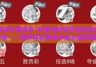 世界杯彩票没中-失落与梦想交织的足球夜晚——世界杯彩票未中的心路历程