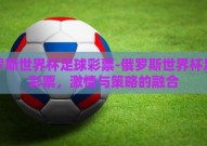 俄罗斯世界杯足球彩票-俄罗斯世界杯足球彩票，激情与策略的融合