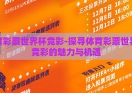体育彩票世界杯竞彩-探寻体育彩票世界杯竞彩的魅力与机遇