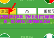 去哪买世界杯彩票-探秘世界杯彩票购买之旅，如何找到可靠的购彩途径