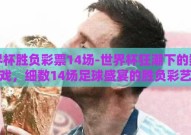 世界杯胜负彩票14场-世界杯狂潮下的数字游戏，细数14场足球盛宴的胜负彩艺术