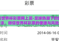 微信世界杯彩票网上买-足球热潮下的新玩法，微信世界杯彩票的便捷与风险