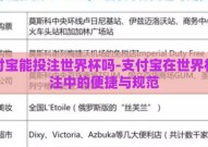 支付宝能投注世界杯吗-支付宝在世界杯投注中的便捷与规范
