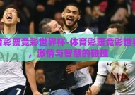 体育彩票竞彩世界杯-体育彩票竞彩世界杯，激情与智慧的碰撞