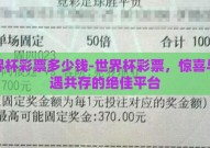 世界杯彩票多少钱-世界杯彩票，惊喜与机遇共存的绝佳平台