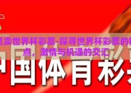哪里卖世界杯彩票-探寻世界杯彩票的销售点，激情与机遇的交汇