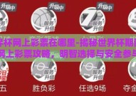 世界杯网上彩票在哪里-揭秘世界杯期间的网上彩票攻略，明智选择与安全参与