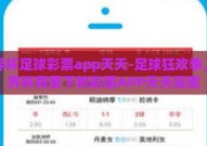 世界杯足球彩票app天天-足球狂欢季，世界杯背景下的彩票APP天天探索