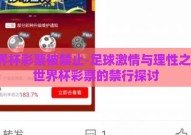 世界杯彩票被禁止-足球激情与理性之争，世界杯彩票的禁行探讨