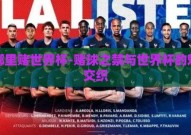 在哪里赌世界杯-赌球之禁与世界杯的魅力交织
