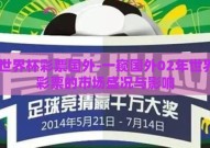 02世界杯彩票国外-一窥国外02年世界杯彩票的市场盛况与影响