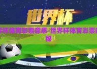 世界杯体育彩票意思-世界杯体育彩票的奥秘