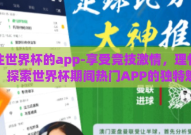 下注世界杯的app-享受竞技激情，理性下注，探索世界杯期间热门APP的独特魅力