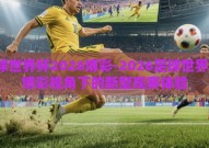 足球世界杯2026博彩-2026足球世界杯，博彩视角下的新型观赛体验