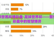 足球世界杯博彩盘-足球世界杯——聚焦博彩盘中的智慧博弈
