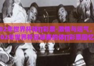 2002年世界杯体∏彩票-激情与运气，2002年世界杯足球赛的体∏彩票回忆