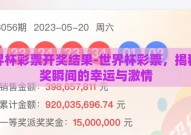 世界杯彩票开奖结果-世界杯彩票，揭秘开奖瞬间的幸运与激情