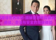 在哪里赌世界杯的-揭秘世界杯竞猜的正确途径，合法与安全的观球体验