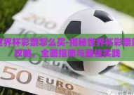 买世界杯彩票怎么买-揭秘世界杯彩票购买攻略，全面指南与最佳实践