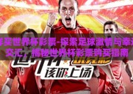 怎样买世界杯彩票-探索足球激情与幸运的交汇，揭秘世界杯彩票购买指南