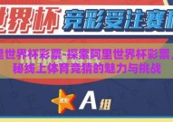 阿里世界杯彩票-探索阿里世界杯彩票，揭秘线上体育竞猜的魅力与挑战