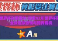 02世界杯彩票国外-探索02年世界杯彩票，全球足球激情与跨界商机