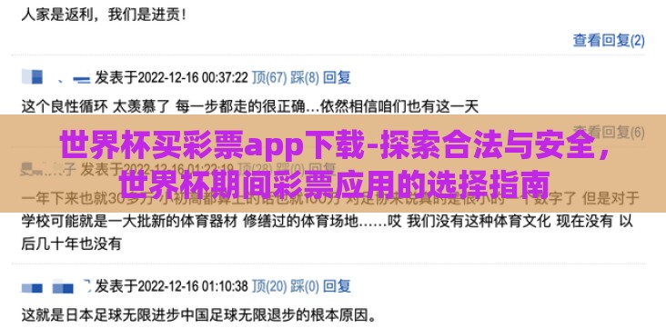 世界杯买彩票app下载-探索合法与安全，世界杯期间彩票应用的选择指南