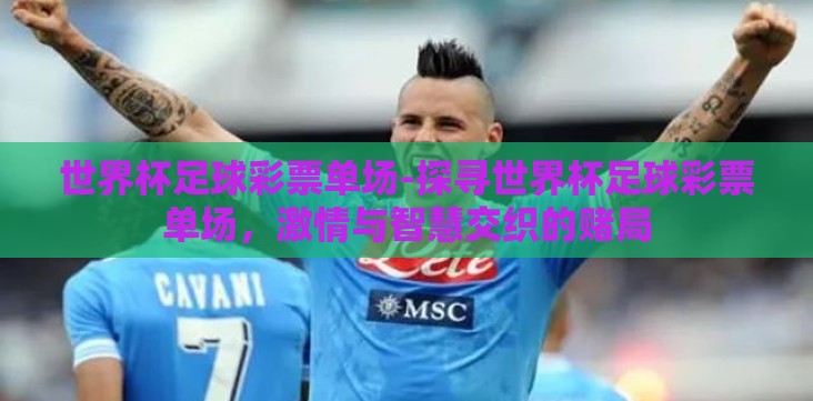 世界杯足球彩票单场-探寻世界杯足球彩票单场,激情与智慧交织的赌局 世界杯足球彩票单场-探寻世界杯足球彩票单场,激情与智慧交织的赌局