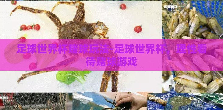 足球世界杯赌球玩法-足球世界杯,理性看待赌球游戏 足球世界杯赌球玩法-足球世界杯,理性看待赌球游戏