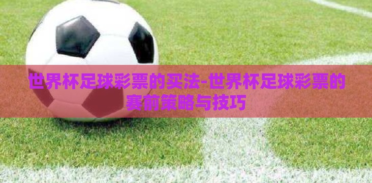 世界杯足球彩票的买法-世界杯足球彩票的赛前策略与技巧 世界杯足球彩票的买法-世界杯足球彩票的赛前策略与技巧