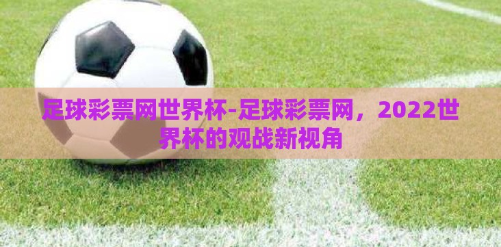 足球彩票网世界杯-足球彩票网，2022世界杯的观战新视角