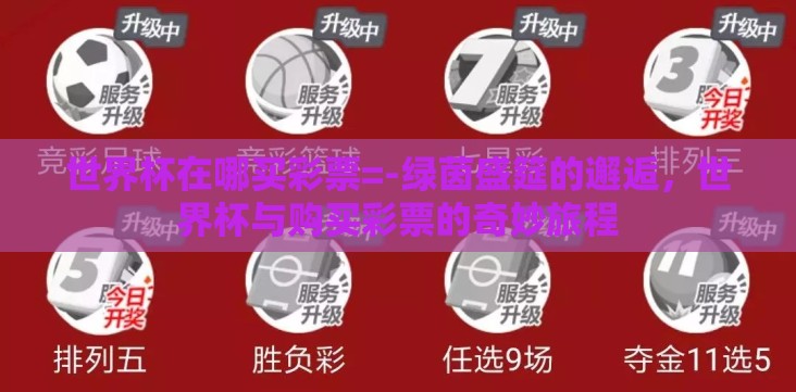 世界杯在哪买彩票=-绿茵盛筵的邂逅,世界杯与购买彩票的奇妙旅程 世界杯在哪买彩票=-绿茵盛筵的邂逅,世界杯与购买彩票的奇妙旅程