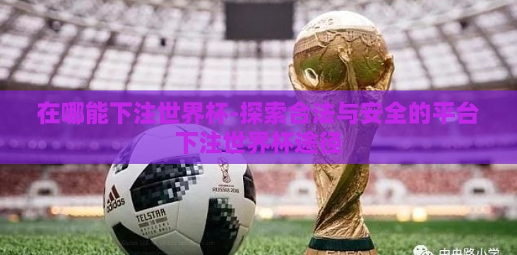 在哪能下注世界杯-探索合法与安全的平台下注世界杯途径