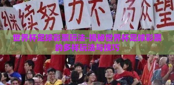 世界杯足球彩票玩法-揭秘世界杯足球彩票的多样玩法与技巧