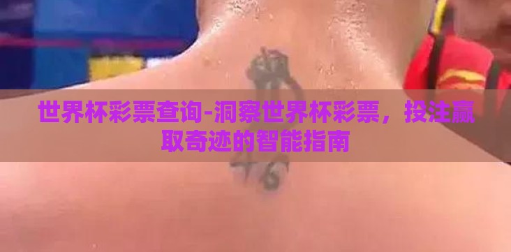 世界杯彩票查询-洞察世界杯彩票，投注赢取奇迹的智能指南